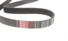 Комплект ремня генератора Renault Clio/Kangoo/Megane/Scenic 1.5dCi 01- (6PK1198) Gates K016PK1198 (фото 5)