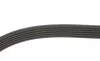 Комплект ремня генератора Renault Clio/Kangoo/Megane/Scenic 1.5dCi 01- (6PK1198) Gates K016PK1198 (фото 6)
