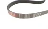 Комплект ремня генератора Citroen Berlingo/Peugeot Partner 1.6 HDi 08- Gates K016PK975 (фото 10)