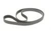 Комплект ремня генератора Renault Megane II/III 2.0 dCi 05- (7PK1705) Gates K017PK1705 (фото 2)