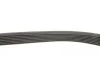 Комплект ремня генератора Renault Megane II/III 2.0 dCi 05- (7PK1705) Gates K017PK1705 (фото 3)