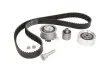 Комплект ГРМ Skoda Octavia/VW Golf/Passat 2.0TDI Gates K025607XS (фото 3)