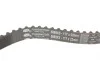 Комплект ГРМ Ford Mondeo/C-Max/Focus/Kuga/Transit Connect 1.5/1.6 EcoBoost 10- (22x117z) Gates K025669XS (фото 3)