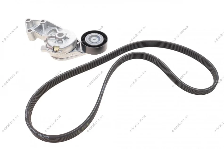 Комплект ремня генератора VW T5 1.9 TDI 03-09 (6DPK1195) Gates K026DPK1195 (фото 1)