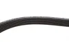 Комплект ремня генератора VW T5 1.9 TDI 03-09 (6DPK1195) Gates K026DPK1195 (фото 3)