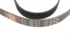 Комплект ременя генератора Hyundai Elantra III/Santa Fe I-II/Sonata V 2.0D/2.2D 01- (6PK1513) Gates K026PK1513 (фото 13)