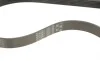 Комплект ременя генератора Citroen Berlingo/Jumpy/Peugeot Expert/Partner 1.6 HDi 08- Gates K026PK963 (фото 4)