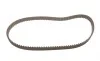 Комплект ГРМ Ford Fiesta/Focus III/Kuga II 1.2-1.6 10- (22x117z) Gates K035669XS (фото 4)