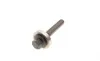 Комплект ГРМ Ford Fiesta/Focus III/Kuga II 1.2-1.6 10- (22x117z) Gates K035669XS (фото 8)