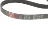 Комплект ременя генератора Audi A2/Seat Ibiza/Skoda Fabia/VW Golf/Polo 1.4/1.6/1.6FSI 97-15 (6PK1078) Gates K036PK1078 (фото 4)