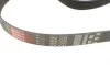 Комплект ремня генератора Audi A3/Seat Leon/Skoda Octavia/VW Caddy/Passat B6 1.6-2.0 03- Gates K046PK1043 (фото 2)