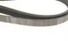 Ремінь генератора Hyundai Santa Fe/Kia Sorento 2.4 CVVT 09-15 Gates K061015 (фото 3)