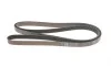 Ремінь генератора Hyundai Santa Fe/Kia Sorento 2.4 CVVT 09-15 Gates K061015 (фото 4)