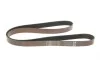 Ремень генератора BMW 5 (F10/F11)/X3 (F25) 09-13 (N52/N53) (8PK1784) Gates K080702 (фото 2)