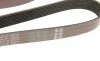 Ремень генератора BMW 5 (F10/F11)/X3 (F25) 09-13 (N52/N53) (8PK1784) Gates K080702 (фото 4)
