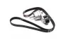Поликлиновый ременный комплект Micro-V (Выр-во) Gates K276PK1555 (фото 4)