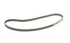 Комплект ГРМ + помпа Opel Astra G/Renault Megane II 1.8 16V 98-05 (20x162z) Gates KP15499XS-2 (фото 2)