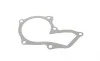 Комплект ГРМ + помпа Ford C-Max/Fiesta/Focus/Mondeo/Mazda 3 1.2-1.6 07-12 (22x117z) Gates KP15669XS (фото 13)