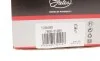 Натяжитель ремня генератора Ford Mondeo 1.6-2.0i 94-98 Gates T38480 (фото 5)