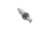 Натяжитель ремня генератора BMW 3 (E46)/5 (E39) 2.0D 98-05 Gates T39215 (фото 3)
