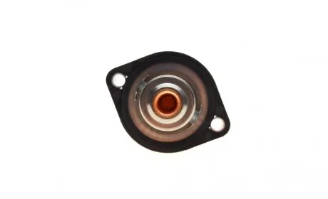 Термостат Fiat Scudo/Peugeot Expert 2.0 16V 00- (89°C) Gates TH24989G1