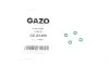 Прокладка шланга обратки Ford Transit 2.2 TDCi 06- (уплотнитель) GAZO GZ-A1459 (фото 1)