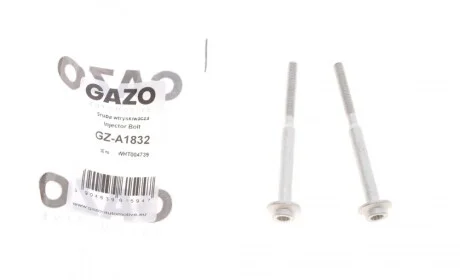 Болт кріплення форсунки VW Caddy/T5 2.0TDI 10- (к-кт 2шт.) GAZO GZ-A1832
