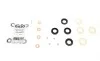 Ремкомплект форсунки Citroen Berlingo 1.6 HDi 05-11 GAZO GZ-A1875 (фото 1)