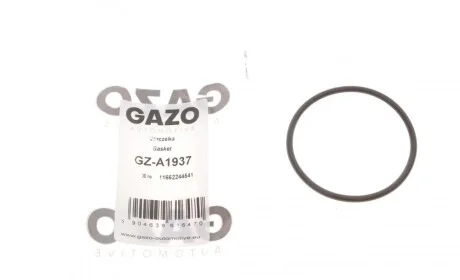 Прокладка насосу вакуумного BMW 3 (E46/E90)/5 (E39/E60)/X5 (E53/E70) 91-13 M47/M57 GAZO GZ-A1937