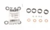 Ремкомплект форсунки Fiat Scudo 2.0 JTD 16V 99-06 (Bosch) (к-кт на 4шт) GAZO GZ-A2011 (фото 1)