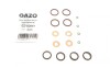 Ремкомплект форсунки Opel Astra G 2.0-2.2 DI 98-05 (к-к-т на 4шт) GAZO GZ-A2051 (фото 1)