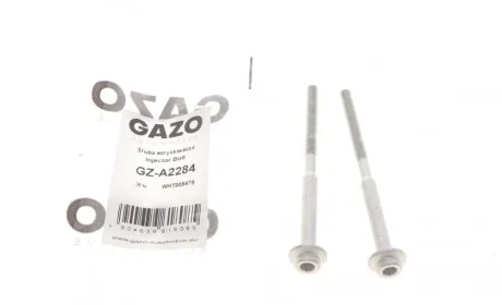 Болт кріплення форсунки VW Passat/Caddy IV 2.0TDI 10- (к-кт 2шт.) GAZO GZ-A2284