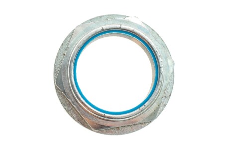 Гайка ступицы (задней) Ford Transit 06-14 (R) GAZO GZ-F1725