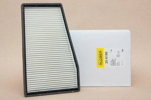 Фільтр салону CHEVROLET Epica V200 04-06, Epica V250 06-14, Evanda V200 04-06; CHERY Eastar 03-13 GLOBER 256186 (фото 1)