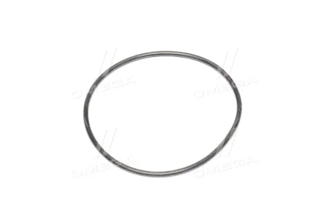 Прокладка помпы воды Daewoo Lanos/Opel Astra F/Vectra B 1.4-2.0 91-04 GM 94580509