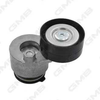 Ролік натяжний ременя генератора Renault Laguna/Trafic/Master/Duster/ Nissan Primera/Interstar/ Opel Vivaro/Movano/ Mitsubishi Carisma/Space Star/ Volvo S40/V40 GMB GAT20200