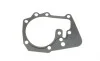 Помпа воды Renault Kangoo/Megane/Logan/Scenic/Dacia Sandero 1.4/1.6 97- (20z)(B/B)(8лоп) GRAF PA1035 (фото 10)