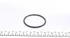 Помпа воды Audi A3/Q7/VW Golf/Passat/Touareg/T4/T5/Porsche 2.8 V6/3.0/3.2 V6/3.6FSI 00- (R/B)(7 лоп) GRAF PA1041 (фото 8)