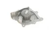 Помпа воды Citroen C4-C8/Jumper/Peugeot 308/407/Ford Focus 2.0-2.2HDi/D/TDCi 06- (19z) (B/B)(8 лоп) GRAF PA1049 (фото 3)