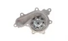 Помпа води Nissan Pathfinder III/NP300 Navara 2.5dCi 05-10/Renault Truck Maxity 07- (R/B) (8 лоп) GRAF PA1066 (фото 5)