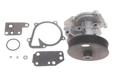 Помпа воды Ford Transit VIII 2.4TDCi RWD 06-14 (R/B) (8 лоп.) (7 кан.) GRAF PA1123