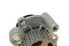 Помпа воды Audi/Seat/Skoda/VW Crafter/Caddy/T5/Passat/Golf 1.6TDI/2.0TDI/BiTDI 06- (19z)(R/B)(8лоп) GRAF PA1137 (фото 3)