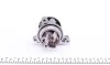 Помпа води Hyundai i20/i30/Kia Ceed II/III/Rio IV 1.4/1.4MPI 15- (R/B) (6 лоп) GRAF PA1346 (фото 3)