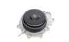 Помпа воды MB C-class (W204)/E-class (W212)/Vito (W447) OM651 2.2CDI 08- (switch.)(R/B)(7 лоп)(6кан) GRAF PA1376 (фото 6)