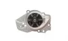 Помпа воды Peugeot 205/305/309/405/Expert/Citroen Bx 1.6/1.9/1.9D 82-98 (20z) (B/B) (6 лоп) GRAF PA256 (фото 2)