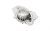 Помпа воды Peugeot 205/305/309/405/Expert/Citroen Bx 1.6/1.9/1.9D 82-98 (20z) (B/B) (6 лоп) GRAF PA256 (фото 6)