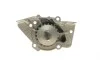 Помпа воды Citroen Berlingo/Xsara/Peugeot Partner/306/309/405/406 1.6/1.8/1.9 87-02(20z)(B/B)(6 лоп) GRAF PA348 (фото 7)