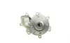 Помпа воды MB Sprinter 901-904/Vito (W638) 2.3D/2.9D OM601-602 96-06/C/E/G/S-class 2.5D/2.9-3.5D 93- GRAF PA448 (фото 5)