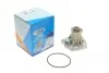 Помпа воды Audi A4/A6/Skoda Felicia/VW Golf/Caddy/Passat/Polo 1.9D/TDI/SDI 95- (R/B)(6лоп) GRAF PA609 (фото 1)