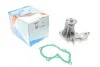 Помпа воды Ford Fiesta IV/V/Focus/Fusion 1.25/1.4/1.6 95-/Mazda 2 03-05/Volvo 05-07 (R/B) (6 лоп) GRAF PA612 (фото 1)
